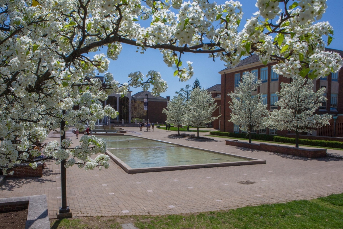 campus beauty - Copy (2) - Copy - Copy